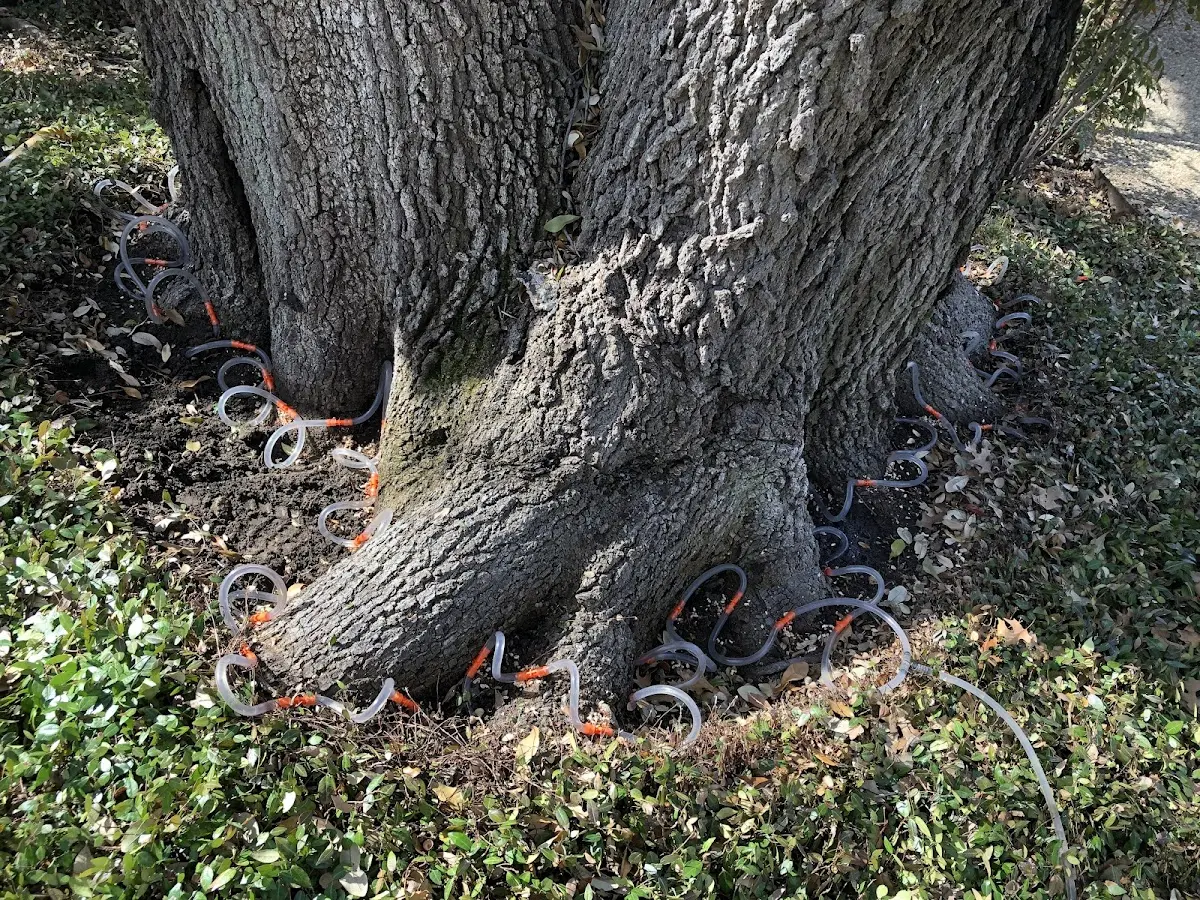 Detailed Shrub and Hedge Trimming job site in Purcell