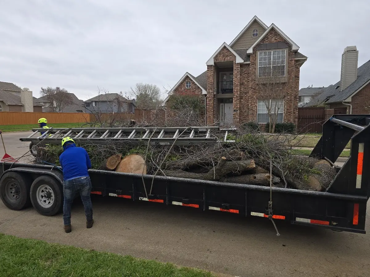 Expert Tree Pest Control with proper safety equipment in Purcell